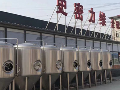 立山精酿啤酒设备厂—市场规模与跨界新需求